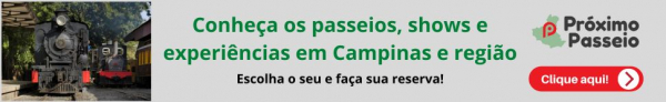 Passeios, experiências, shows e mais - Próximo Passeio