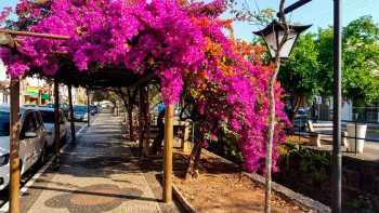 Águas de São Pedro turismo passeio região de Campinas