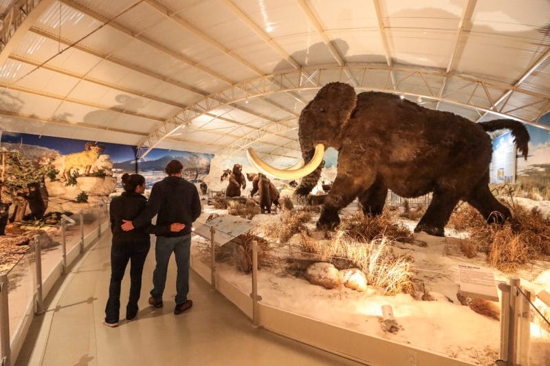Maior Museu da História Natural da América Latina no Zooparque em Itatiba! Maior Museu da História Natural da América Latina no Zooparque em Itatiba!