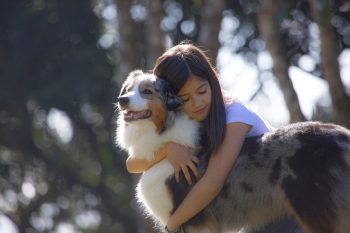 Pet não é brinquedo