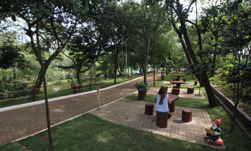Campinas.com.br - Nas férias, parque Irmã Dorothy Stang é opção de ...