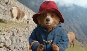 Campinas.com.br - “Paddington: Uma Aventura na Floresta” marca ...