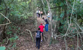 “Semana da Serra dos Cocais” traz série de atividades em conexão com a natureza e inauguração da Escola DaTerra