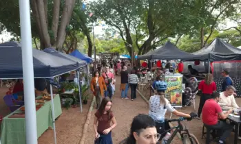 Atividades Pré-Férias na Feira de Barão