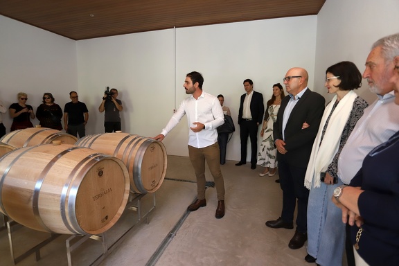 Polo Vitivinícola em Campinas Impulsiona Setores Produtivos